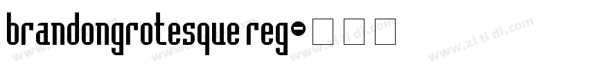 brandongrotesque reg字体转换